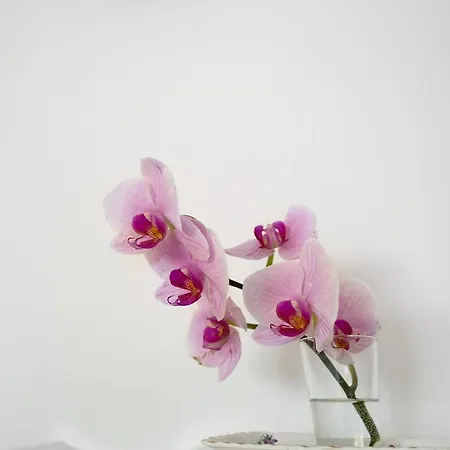 El Balcon De Triana Appartamento